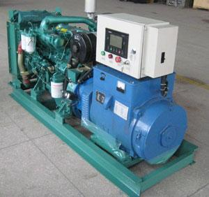 白水发电机出租