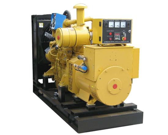 白水发电机出租